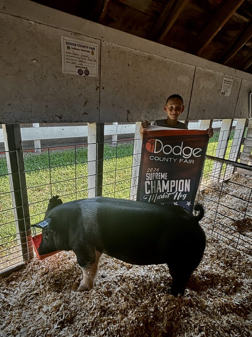 The 2026 Supreme Champion Market Hog with its banner